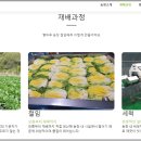 평창밤나무골농원 이미지