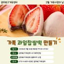 (자녀와 함께)알록달록 디저트 만들기 | 🍓‘2월 가족사랑의 날’ 새해맞이 가족 과일찹쌀떡 만들기’ 후기🍓