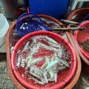 신가음정횟집 이미지