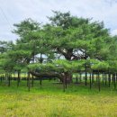 소고펜션 이미지