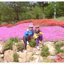 하빈파출소 이미지