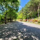 가평군의회 | 가평캠핑장 별드림 캠핑장 가는방법