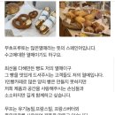 무초프루토 이미지