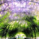 밀양댐생태공원 이미지