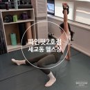 세교7길 | 세교동 헬스장 파인핏 2호점 진정성 있는 이지혁 트레이너 피티