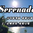 Nightingale Serenade 이미지