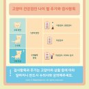 수색동물병원 이미지