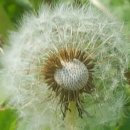 웨스트민스터신학대학원대학교 이미지