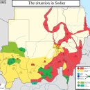 Africa File, 2025년 2월 6일: M23 일방적 휴전; SAF가 하르툼에 접근; 미국이 소말리아 북부에서 공습; 알샤바브가 이미지