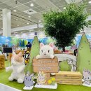 진주-상대-비상-01 이미지