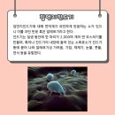 영희침구