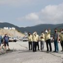 완도8호 이미지