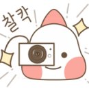 리얼허브애견카페 이미지