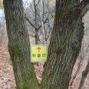 용연사주차장 이미지