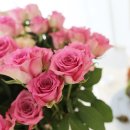 프렌치 스타일 유러피안 꽃다발 이미지