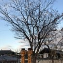 행랑채 | 공주 한옥마을 구들장 체험이 가능한 공주 한옥 숙소 행랑채 숙박 솔직 후기