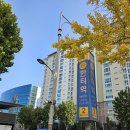 동아리 모임 전에 점심으로 갔던 두찜강남대치점