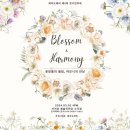 제5회 제주도레미 정기연주회 이미지