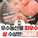 대홍농장 | 빨간 복숭아 대홍 강원도 홍천 직접 재배한 3kg 4kg 딱딱이 제철