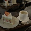 엑스오엑스오케이크