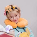바이정은 이미지