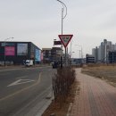 정원숙녀복