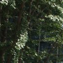 브래덤재활병원 이미지