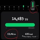 분당천 | 자유롭게 가을을 느끼며 러닝을 해보아요~ 2025 아이런 독도 그란폰도 참여후기^^