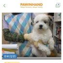 댕글벙글 이미지