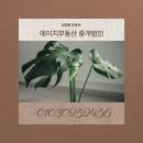 에이스부동산중개 이미지