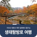 8월8일(목)경남 산청 지리산 (대원사계곡) 산행안내 이미지