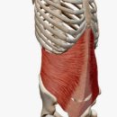 늘필라테스 이미지