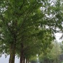 부귀면세동보건진료소 이미지