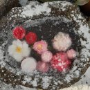 혼저옵서멍 이미지