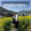 이베리스 | 남해 여행, 4월 남해 1박2일 여행, 남해 여행 코스, 남해 벚꽃 유채꽃 명소 추천