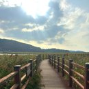 소라면 가사리 | 여수 가을 가볼만한곳 ‘가사리갈대밭’