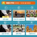 해돋이 | [나트랑 판랑 사막 투어] 엄마랑 공항출발 해돋이투어 내돈내산 추천후기