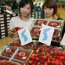 조성봉농장 이미지