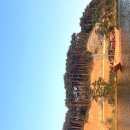 카페자연 이미지