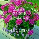전신갑주 이미지