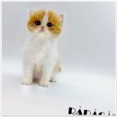 만남헤어�� 이미지