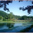 영산 연지 이미지