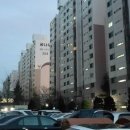 꿈나무비디오 이미지