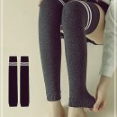 테리뉴 쇼핑하우