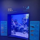 해양생태전시관 | 시흥 아이와 가볼만한곳 해양생태과학관 솔직후기