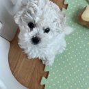 삼전하늘어린이집 | 시험을 대하는 내 태도 (1)