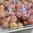 축협하나로마트안림점 이미지