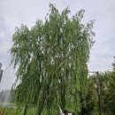 세병공원(아파트쪽) 네이버블로그