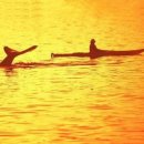 행복그자리 이미지