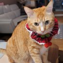 연세모에버의원 이미지